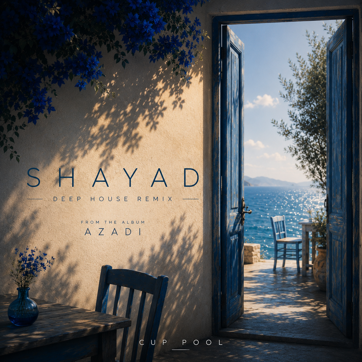 Shayad (Remix) – Cover von CUP POOL