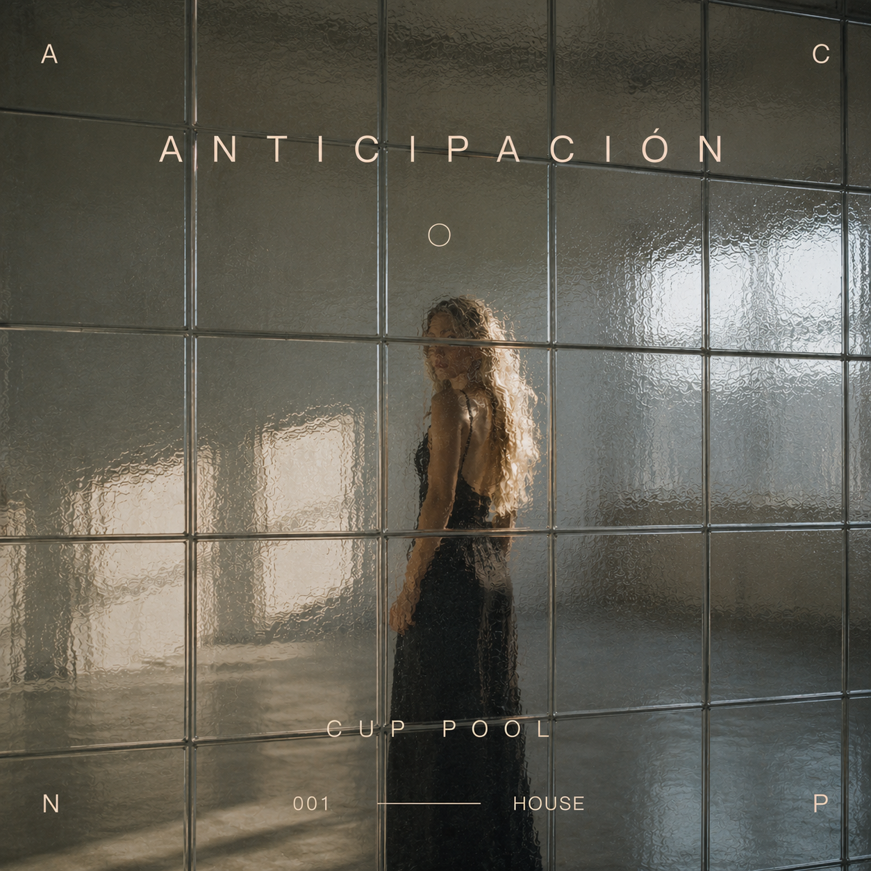 Anticipacion